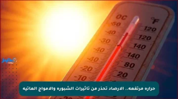 حرارة مرتفعة.. الأرصاد تحذر من تأثيرات الشبورة والأمواج العاتية